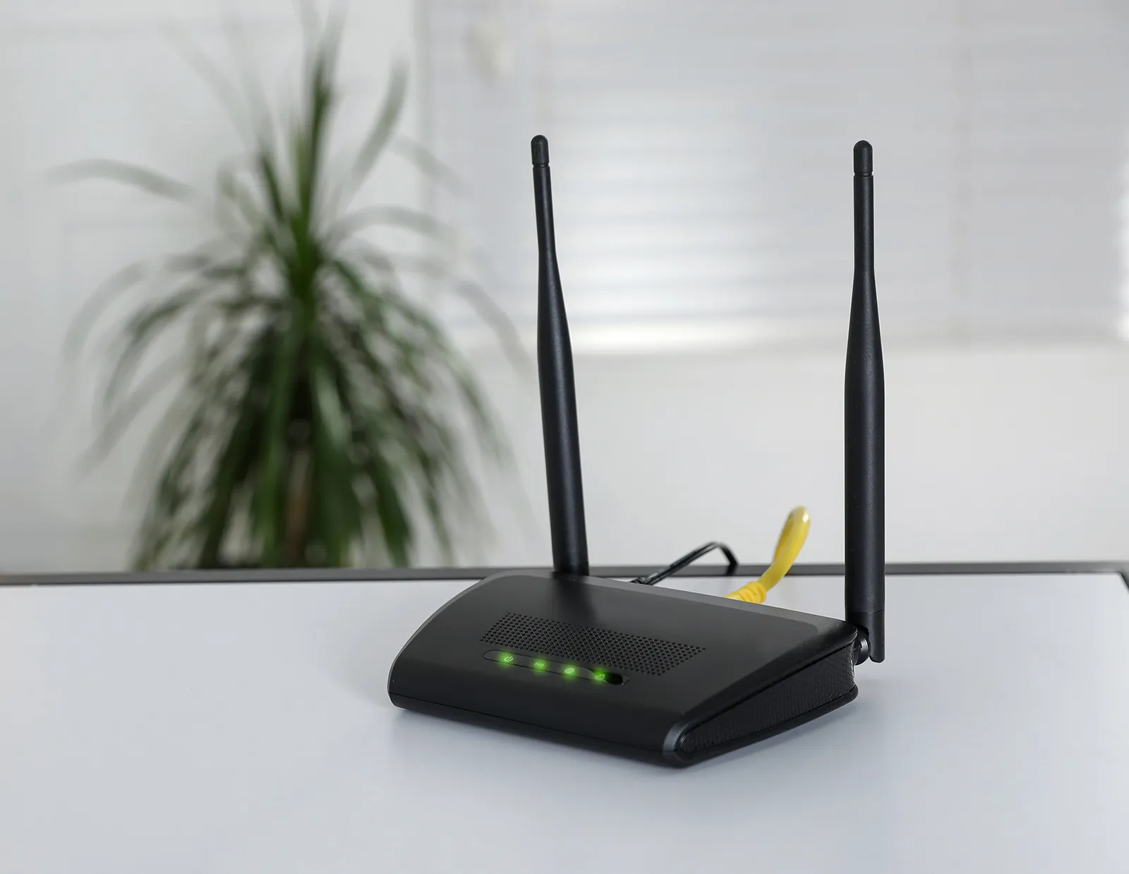 Internet Security Tips Kenya